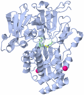 Image Asym./Biol. Unit