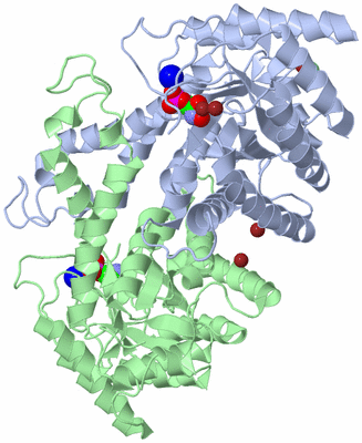 Image Asym./Biol. Unit