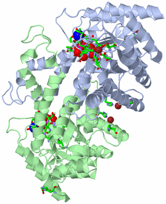 Image Asym./Biol. Unit - sites