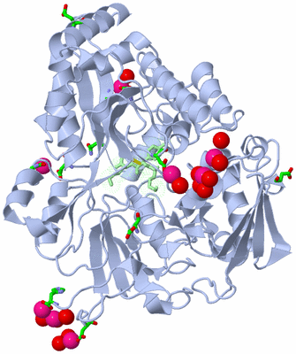 Image Asym./Biol. Unit - sites