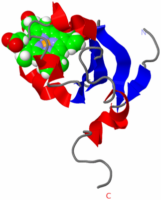 Image NMR Structure - all models