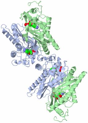 Image Biological Unit 1