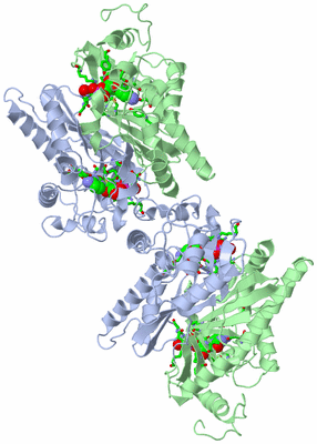 Image Biol. Unit 1 - sites
