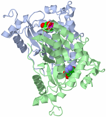 Image Biological Unit 2