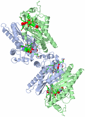 Image Biol. Unit 1 - sites