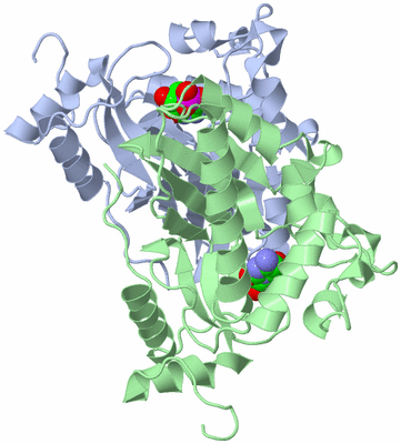 Image Biological Unit 2