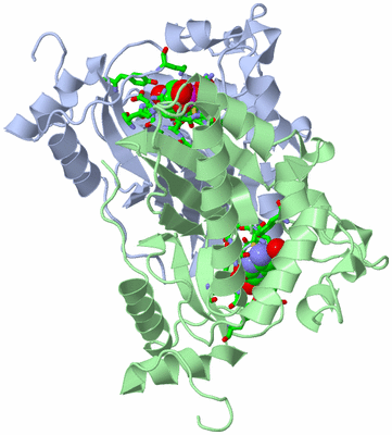 Image Asym. Unit - sites