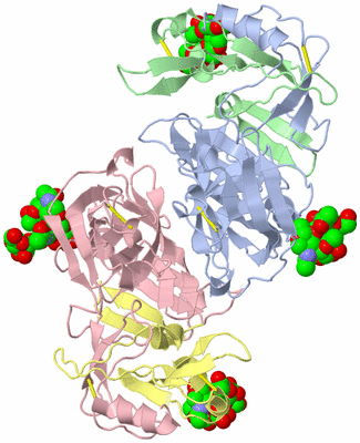 Image Biological Unit 1