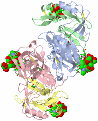 Image Biol. Unit 1 - sites