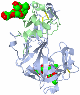Image Biological Unit 2