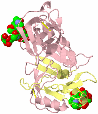 Image Biological Unit 3
