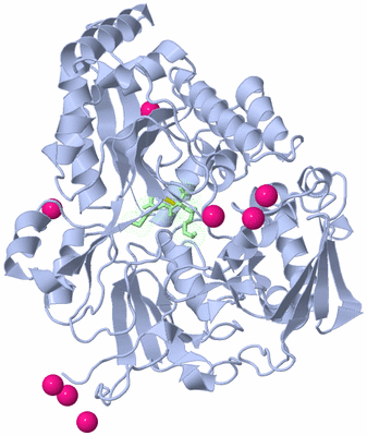 Image Asym./Biol. Unit