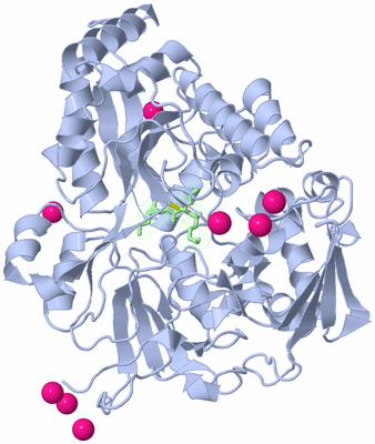 Image Asym./Biol. Unit