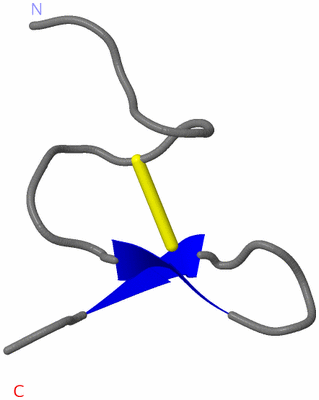 Image NMR Structure - model 1