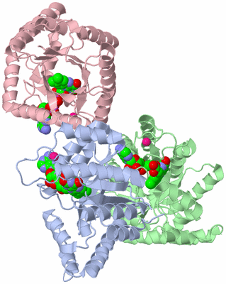 Image Asym./Biol. Unit