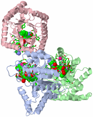 Image Asym./Biol. Unit - sites