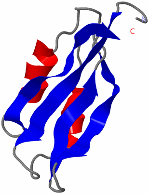 Image NMR Structure - model 1