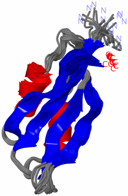 Image NMR Structure - all models