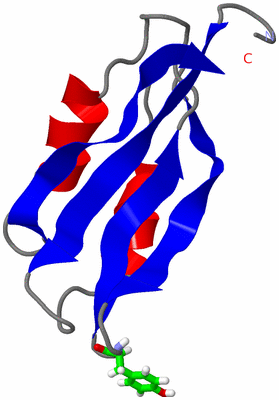 Image NMR Structure - model 1, sites