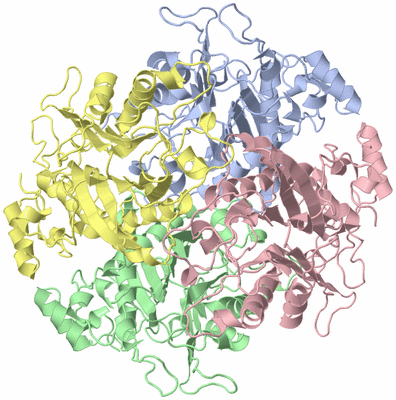 Image Biological Unit 1