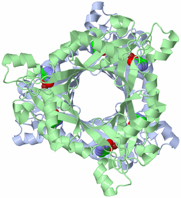 Image Biological Unit 1