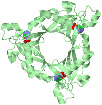 Image Biological Unit 3