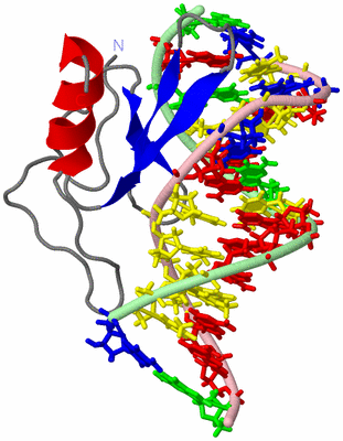 Image NMR Structure - model 1