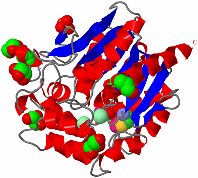 Image Asym./Biol. Unit