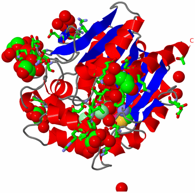 Image Asym./Biol. Unit - sites