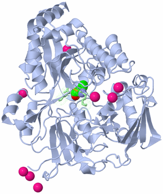 Image Asym./Biol. Unit