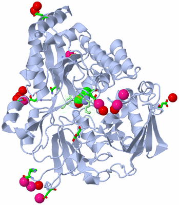 Image Asym./Biol. Unit - sites