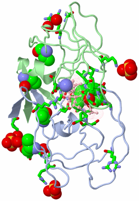 Image Asym./Biol. Unit - sites