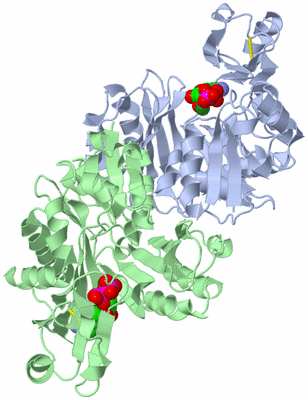 Image Biological Unit 1