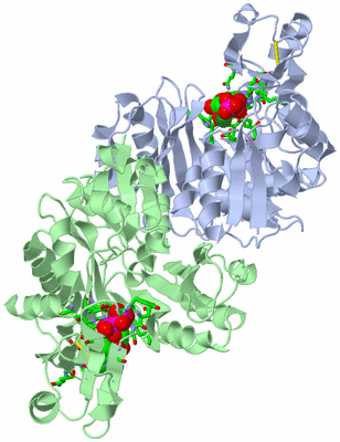 Image Biol. Unit 1 - sites