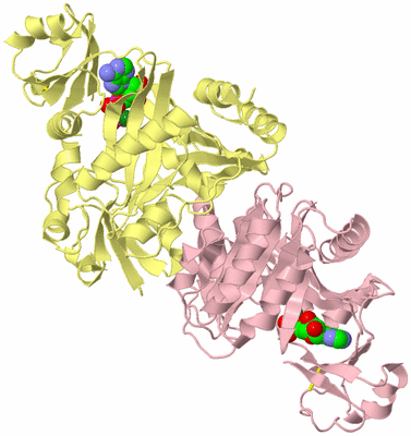 Image Biological Unit 2