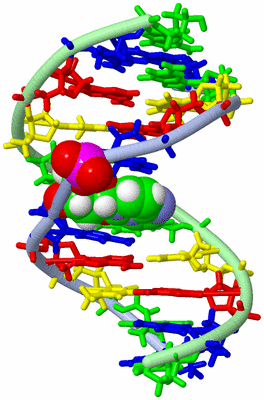 Image NMR Structure - model 1