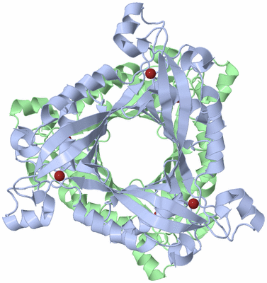 Image Biological Unit 2