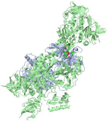 Image Biol. Unit 1 - sites