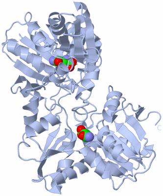 Image Biological Unit 1