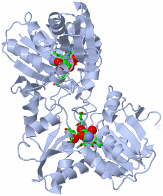 Image Biol. Unit 1 - sites