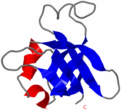 Image NMR Structure - model 1