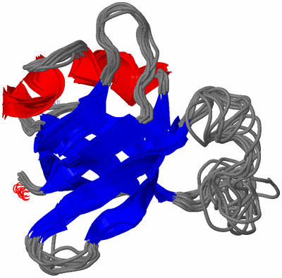 Image NMR Structure - all models