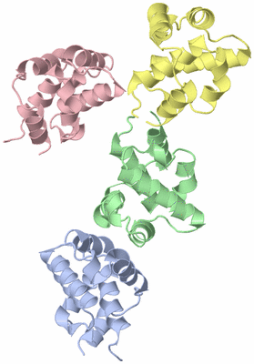 Image Asym./Biol. Unit