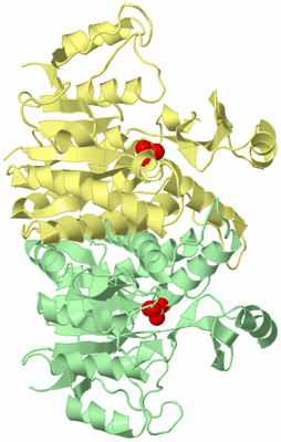 Image Biological Unit 2