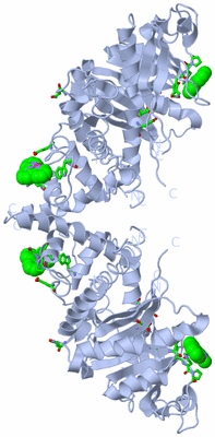 Image Biol. Unit 1 - sites