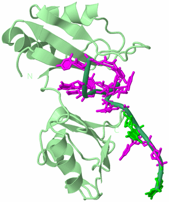 Image Biological Unit 2