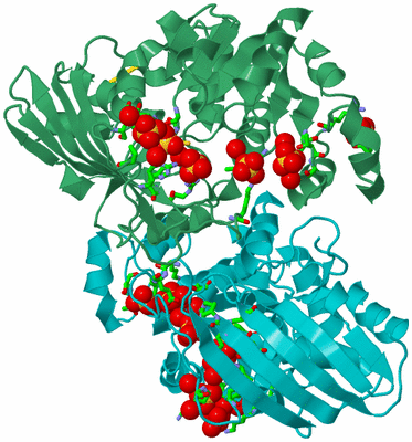 Image Biol. Unit 1 - sites