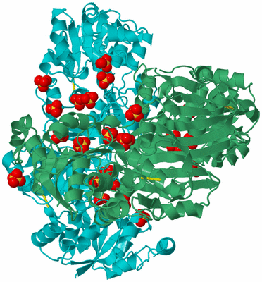 Image Biological Unit 2