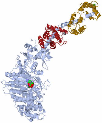 Image Asym./Biol. Unit