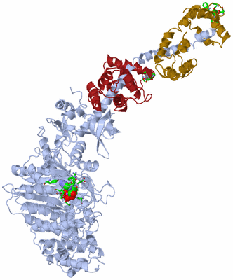 Image Asym./Biol. Unit - sites